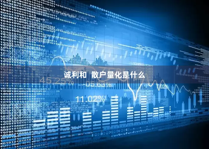 诚利和  散户量化是什么