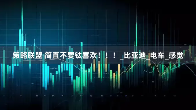 策略联盟 简直不要钛喜欢！！！_比亚迪_电车_感觉